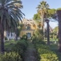 Articolo della galleria