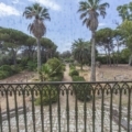 Articolo della galleria