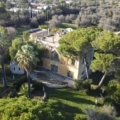 Articolo della galleria