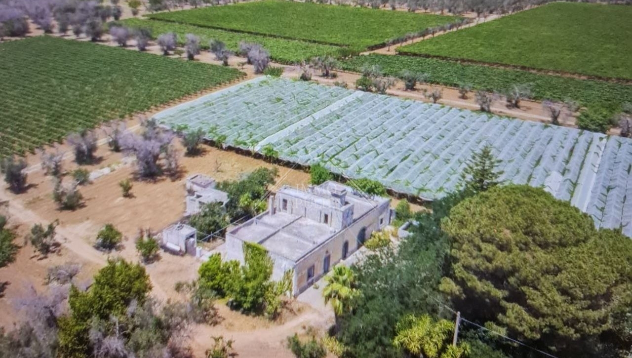 Grüne masseria