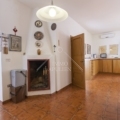 Articolo della galleria