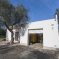 Articolo della galleria