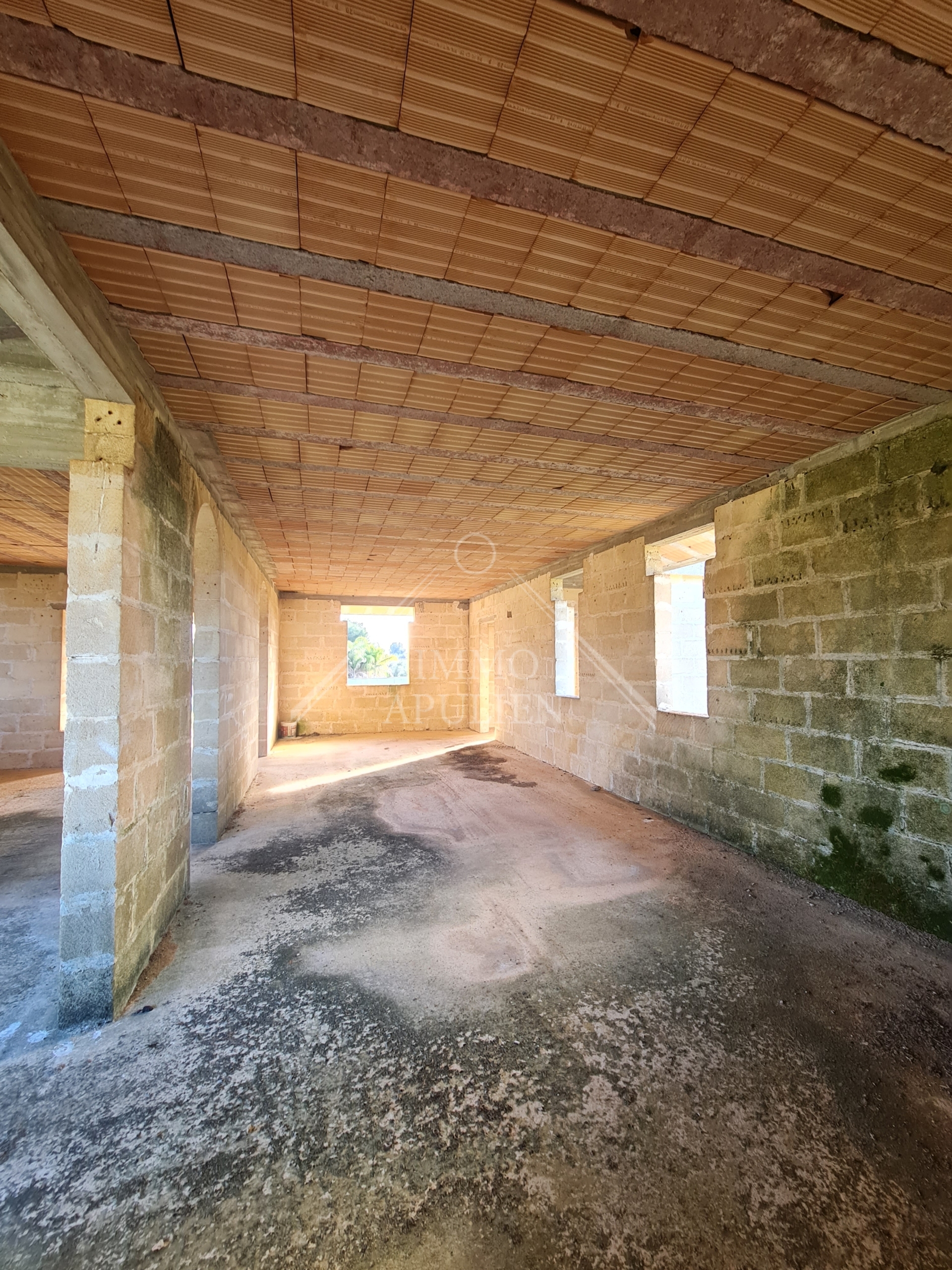 Articolo della galleria