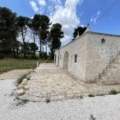 Articolo della galleria