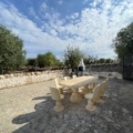 Articolo della galleria
