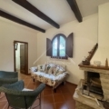 Articolo della galleria